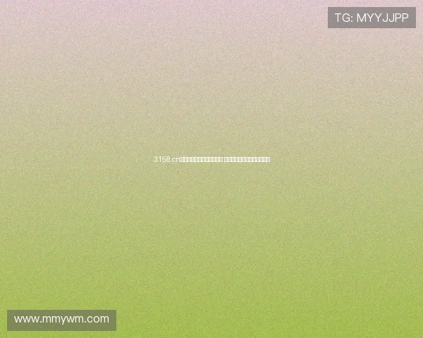 3158.cn免费网站云服务器配置指南 完美搭建高效稳定网站的秘诀